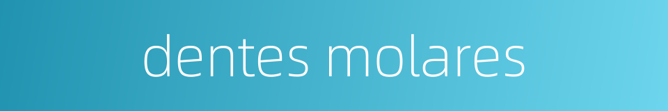 dentes molares的同义词