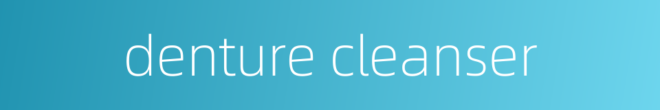 denture cleanser的同义词