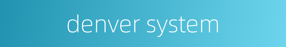 denver system的同义词