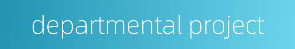 departmental project的同义词