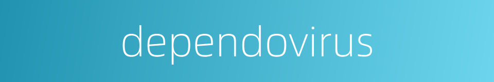 dependovirus的同义词