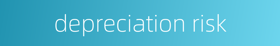 depreciation risk的同义词