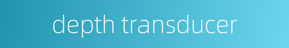 depth transducer的同义词