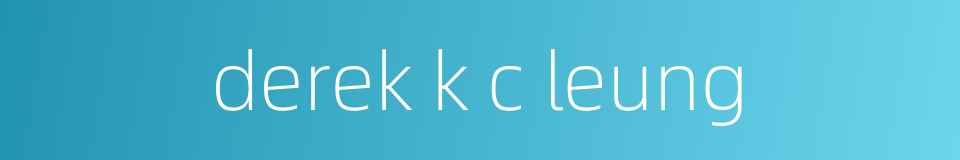 derek k c leung的同义词