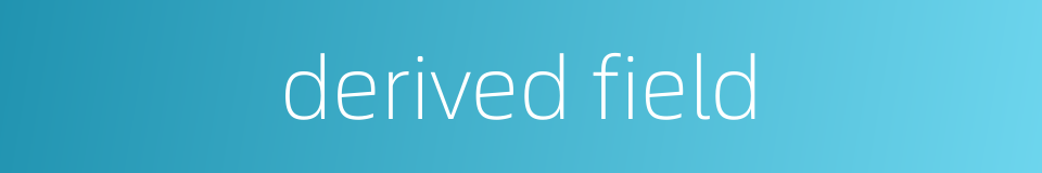 derived field的同义词