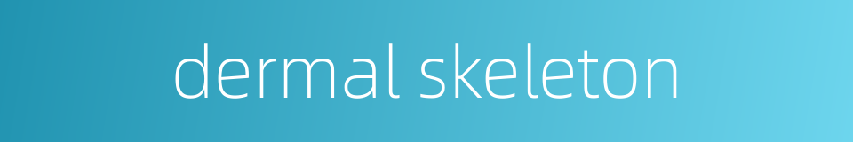 dermal skeleton的同义词