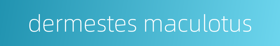 dermestes maculotus的同义词
