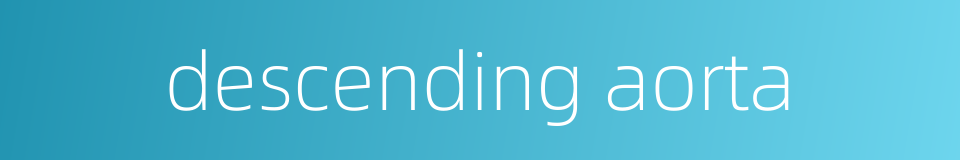 descending aorta的同义词