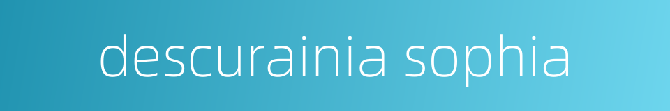 descurainia sophia的同义词