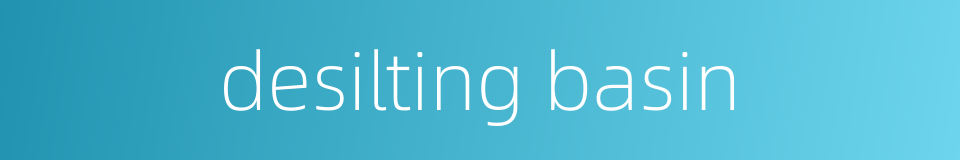 desilting basin的同义词