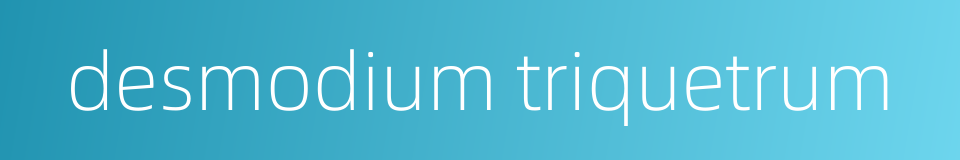 desmodium triquetrum的同义词