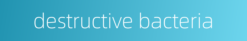destructive bacteria的同义词