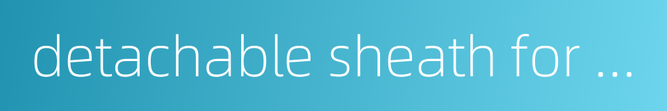 detachable sheath for a sleeve的同义词