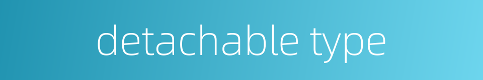 detachable type的同义词