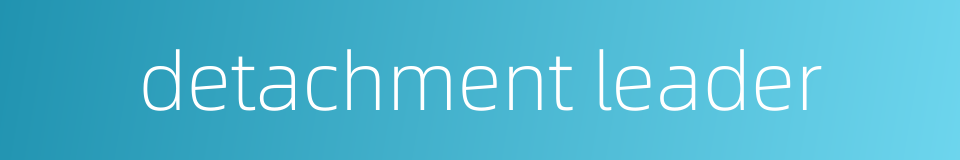 detachment leader的同义词