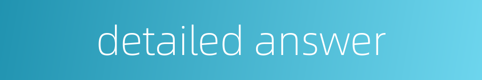 detailed answer的同义词