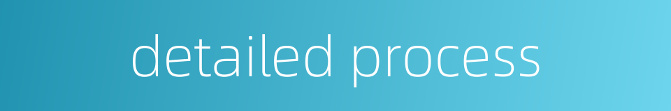 detailed process的同义词
