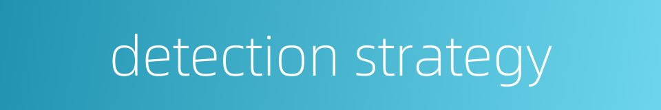 detection strategy的同义词