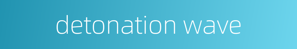 detonation wave的同义词