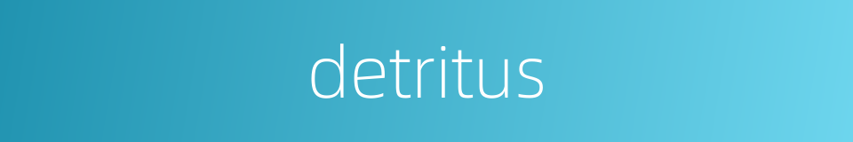 detritus的同义词
