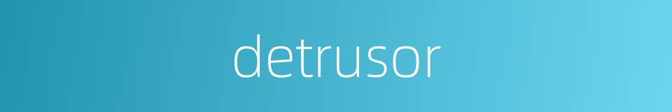 detrusor的同义词