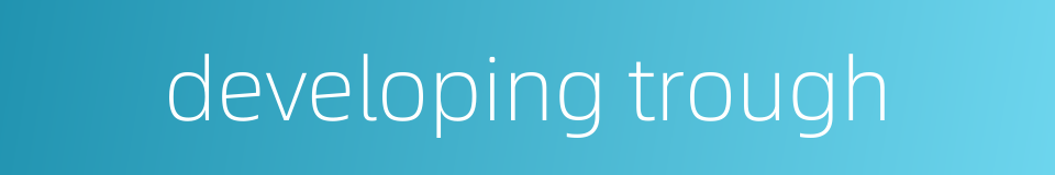 developing trough的同义词