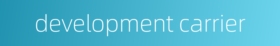 development carrier的同义词