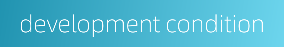 development condition的同义词