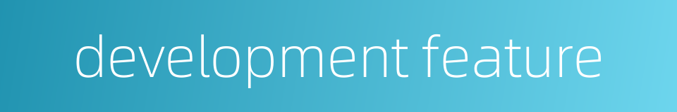 development feature的同义词