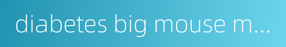 diabetes big mouse model的同义词