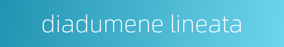 diadumene lineata的同义词