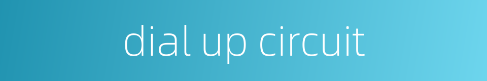 dial up circuit的同义词