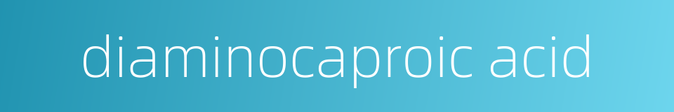 diaminocaproic acid的同义词