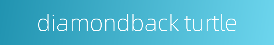 diamondback turtle的同义词