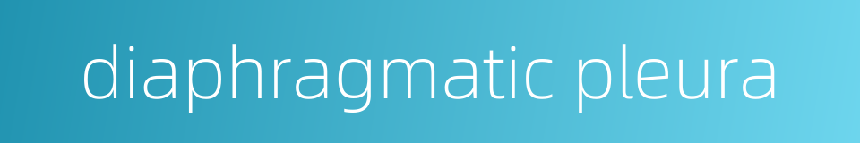 diaphragmatic pleura的同义词