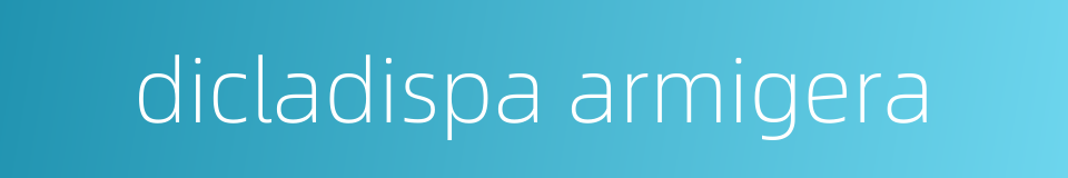 dicladispa armigera的同义词