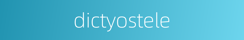 dictyostele的同义词