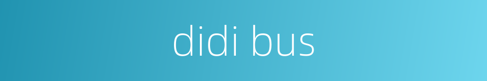 didi bus的同义词