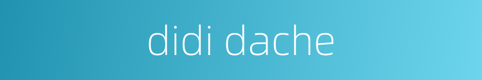 didi dache的同义词