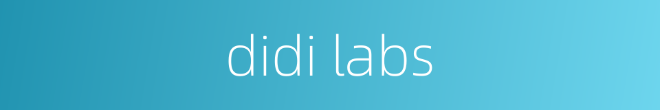 didi labs的同义词