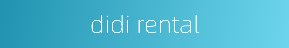 didi rental的同义词