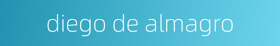 diego de almagro的同义词