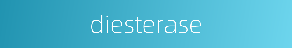 diesterase的同义词