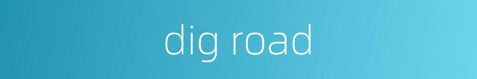 dig road的同义词