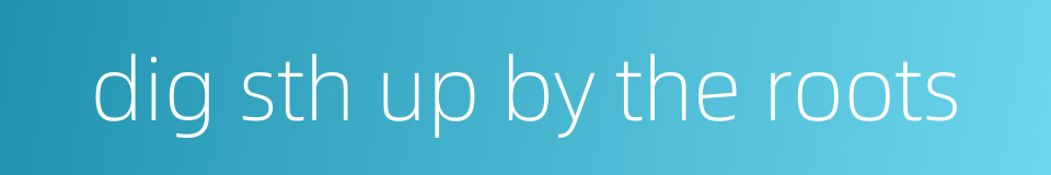 dig sth up by the roots的同义词