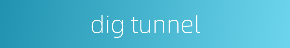 dig tunnel的同义词