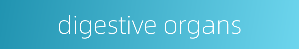 digestive organs的同义词