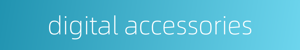 digital accessories的同义词