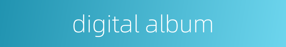 digital album的同义词