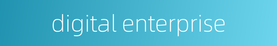 digital enterprise的同义词